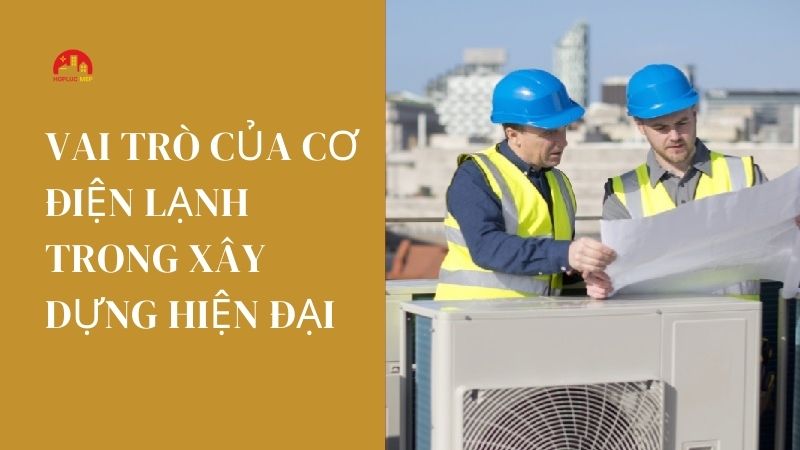 vai tro cua co dien lanh